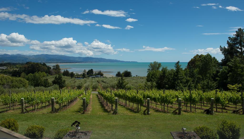 Windhover Suites Tasman エクステリア 写真